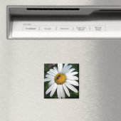 Daisy Magneet (Insitu (Vaatwasser))