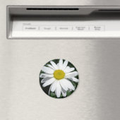 DAISY MAGNEET (Insitu (Vaatwasser))