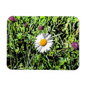 Daisy Magneet (Horizontaal)