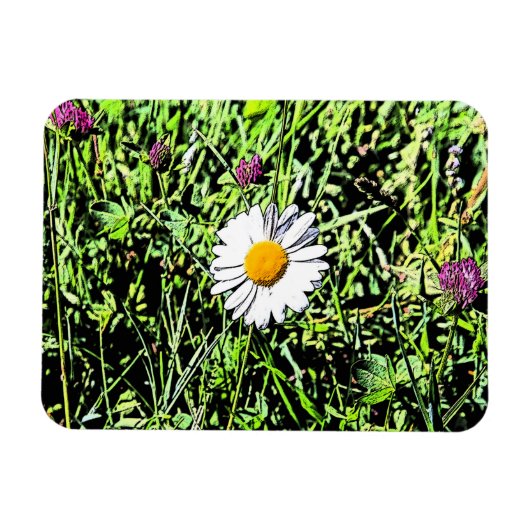 Daisy Magneet (Horizontaal)