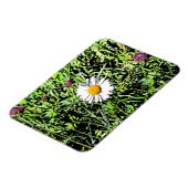 Daisy Magneet (Linkerzijde)