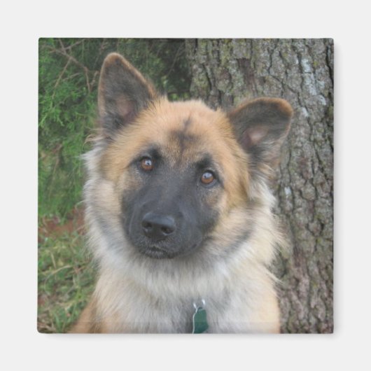 Daisy Magneet (Voorkant)