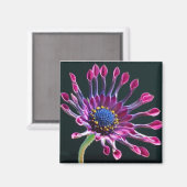 Daisy Magneet (Voorkant / Achterkant)