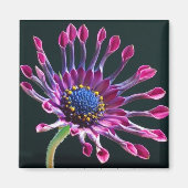 Daisy Magneet (Voorkant)