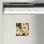 Daisy Magneet (Insitu (Vaatwasser))