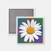 Daisy magnet (Voorkant / Achterkant)