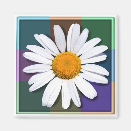 Daisy magnet (Voorkant)