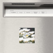 Daisy Magnet (Insitu (Vaatwasser))