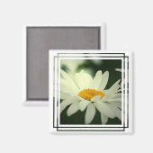 Daisy Magnet (Voorkant / Achterkant)