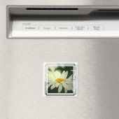 Daisy Magnet (Insitu (Vaatwasser))