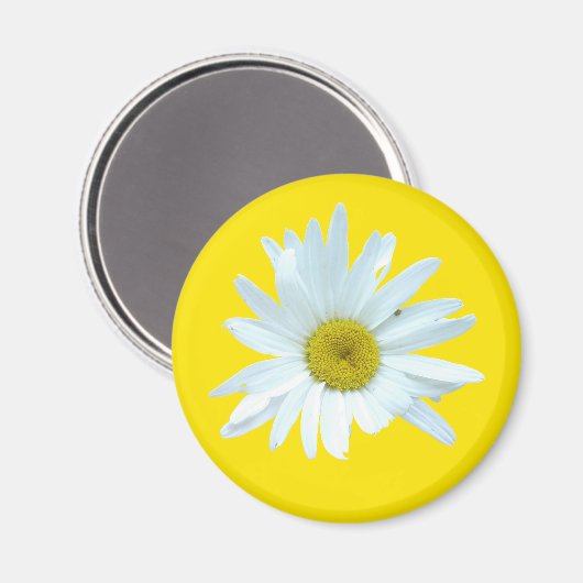 Daisy Magnet (Voorkant / Achterkant)