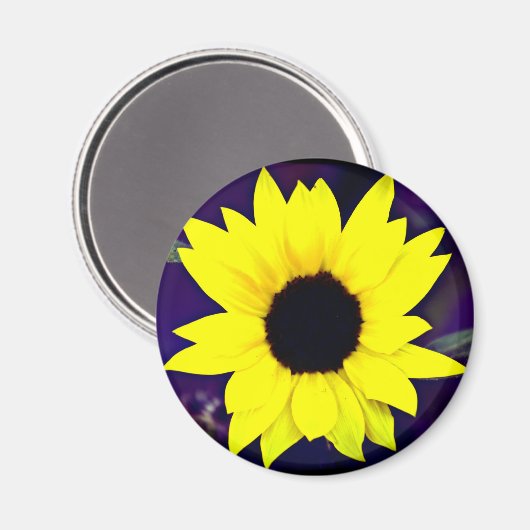 Daisy Magnet (Voorkant / Achterkant)