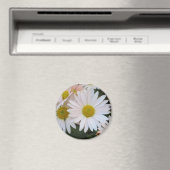 Daisy Magnet (Insitu (Vaatwasser))