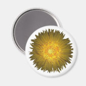 Daisy Magnet (Voorkant / Achterkant)