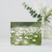 Daisy Meadow Briefkaart (Staand voorkant)