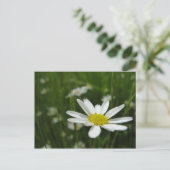 Daisy Meadow Briefkaart (Staand voorkant)