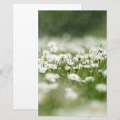 Daisy Meadow Briefpapier (Voorkant / Achterkant)