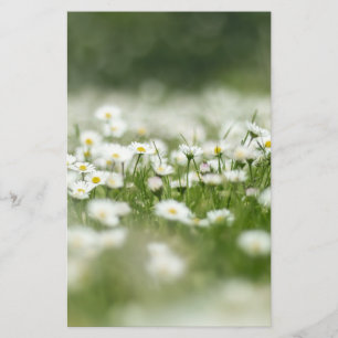 Daisy Meadow Briefpapier