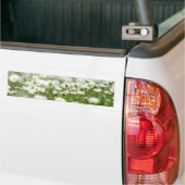 Daisy Meadow Bumpersticker (Op Truck)