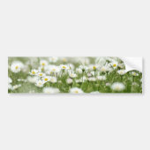 Daisy Meadow Bumpersticker (Voorkant)