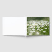 Daisy Meadow Gastenboek (Volledig)