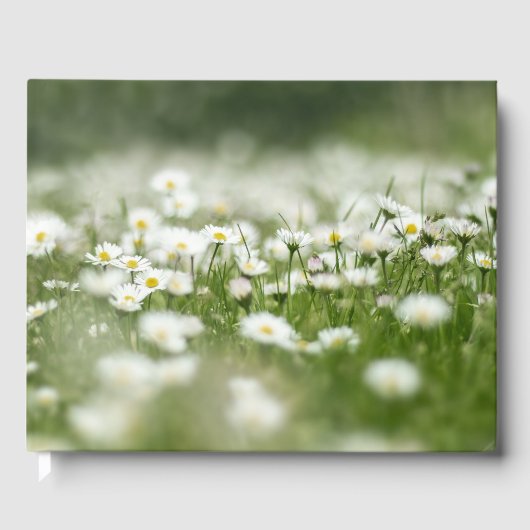 Daisy Meadow Gastenboek (Voorkant)