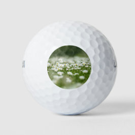 Daisy Meadow Golfballen