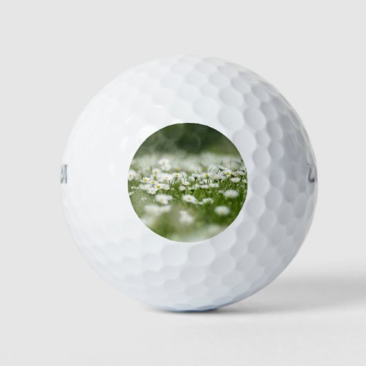Daisy Meadow Golfballen (Voorkant)