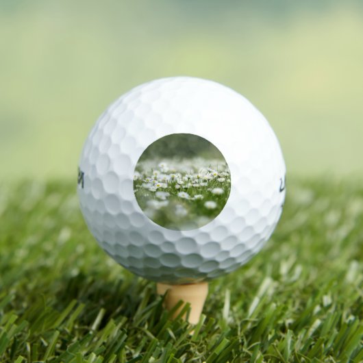 Daisy Meadow Golfballen (Insitu Shirt)