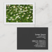 Daisy Meadow (grens) Visitekaartje (Voorkant / Achterkant)