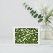 Daisy Meadow (grens) Visitekaartje (Staand voorkant)