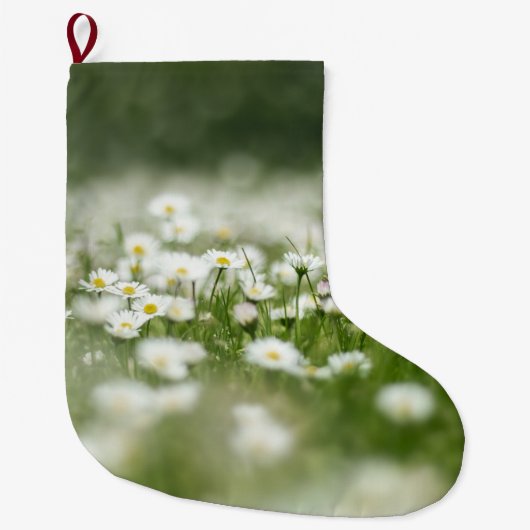 Daisy Meadow Grote Kerstsok (Voorkant)