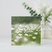 Daisy Meadow Kaart (Staand voorkant)