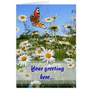 DAISY MEADOW ~ Kaart