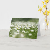 Daisy Meadow Kaart (Gele Bloem)