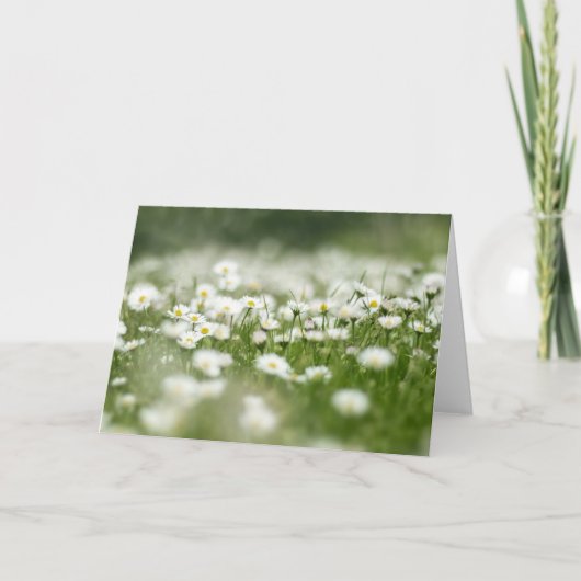 Daisy Meadow Kaart (Voorkant)