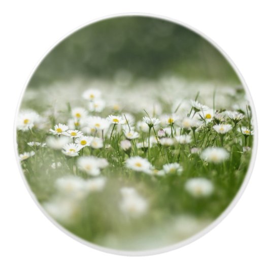 Daisy Meadow Keramische Knop (Voorkant)