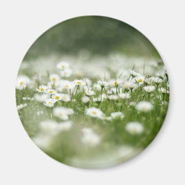 Daisy Meadow Magneet