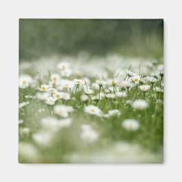 Daisy Meadow Magneet