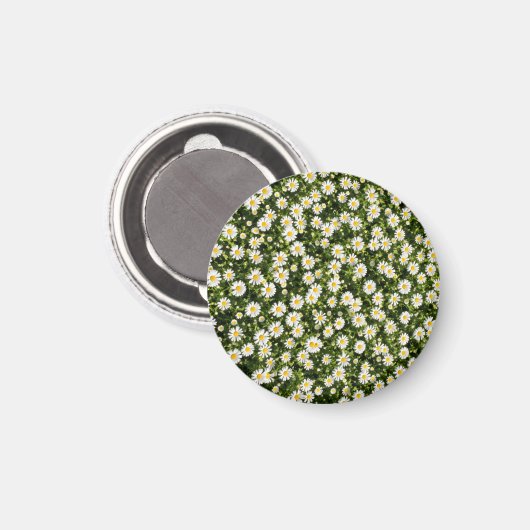 Daisy Meadow Magnet (Voorkant / Achterkant)