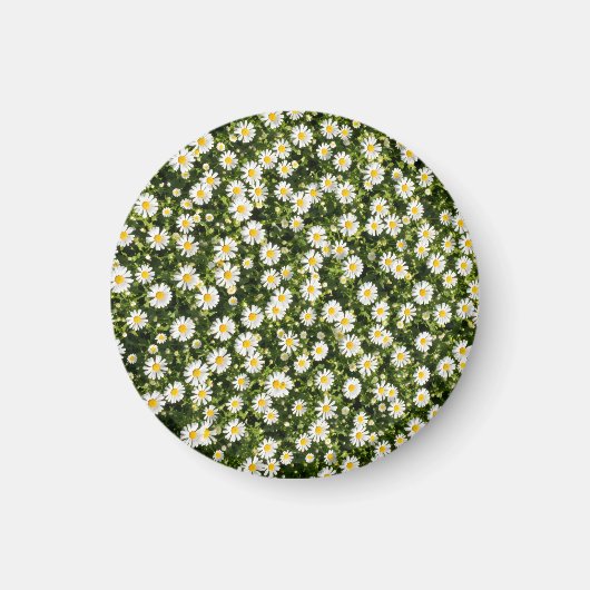Daisy Meadow Magnet (Voorkant)
