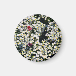 Daisy Meadow Magnet