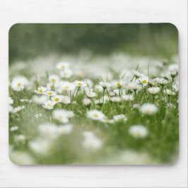 Daisy Meadow Muismat