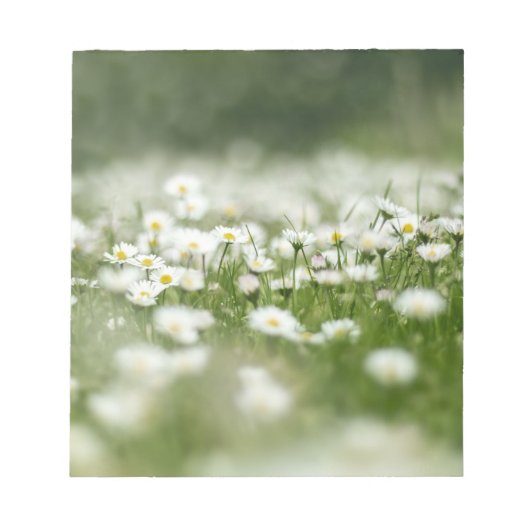 Daisy Meadow Notitieblok (Voorkant)