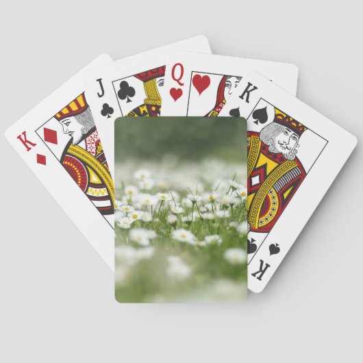 Daisy Meadow Pokerkaarten (Achterkant)