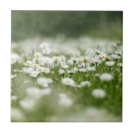 Daisy Meadow Tegeltje