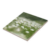 Daisy Meadow Tegeltje (Zijkant)