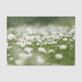 Daisy Meadow Tissuepapier