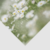 Daisy Meadow Tissuepapier (Detail)
