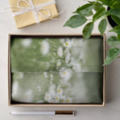 Daisy Meadow Tissuepapier (Geschenk)